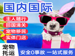 新郑航空托运国际宠物托运 【国